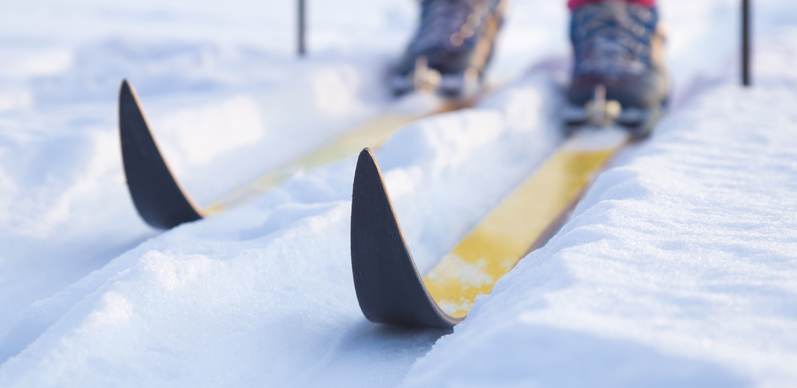Take skiing lessons at Wolf Creek and become a pro
