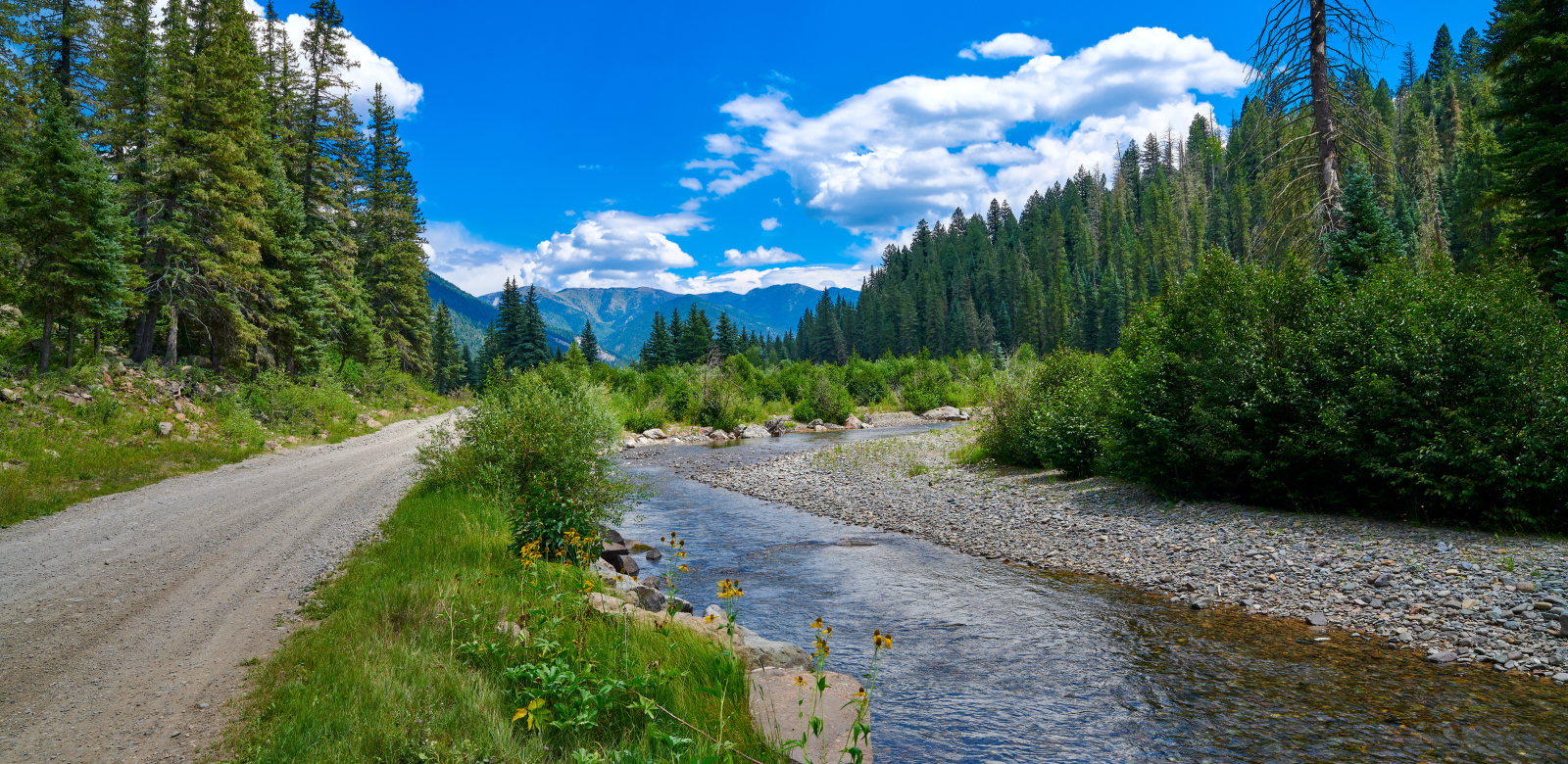 Colorado's beauty: a river flows by a dirt path surrounded by green trees and a bright blue sky