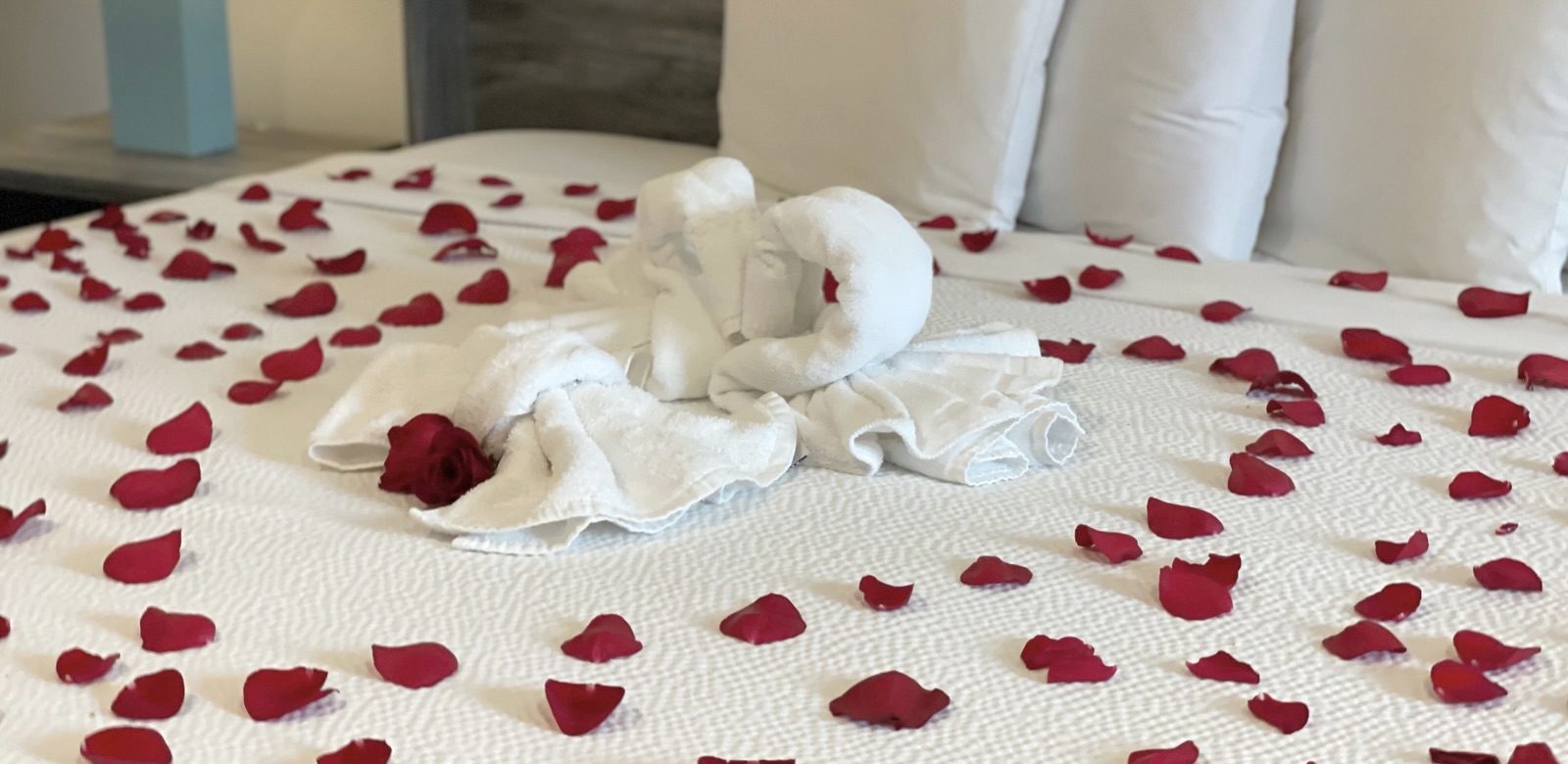 Rose petals on a bed at our Pagosa Springs Hotel