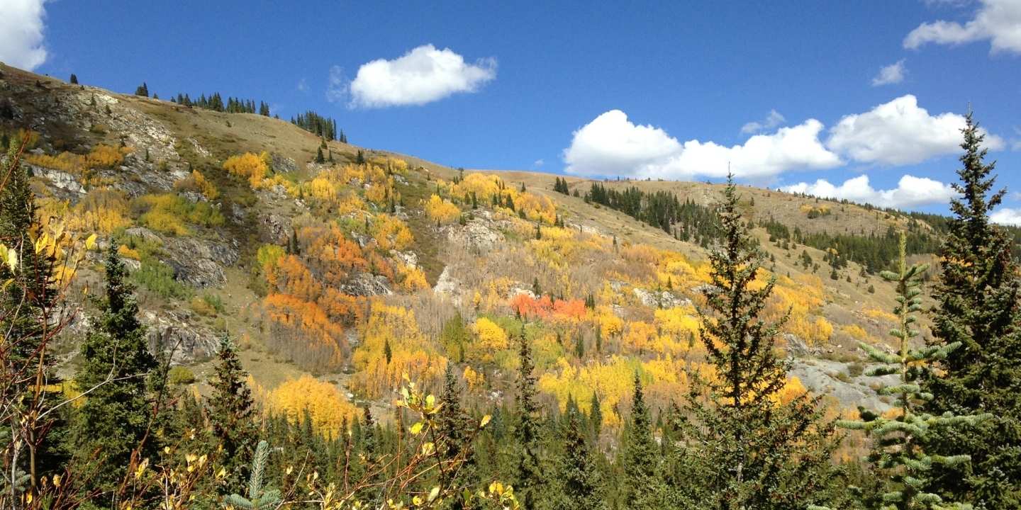 A mountain in colorado with orange, green, and yellow trees in the fall.